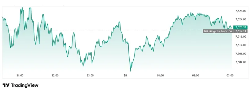 S&P 500