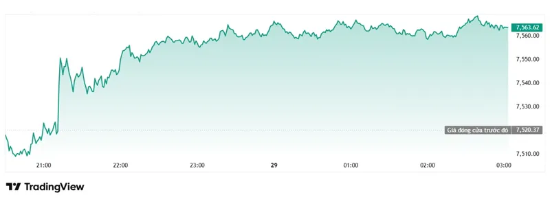 S&P 500