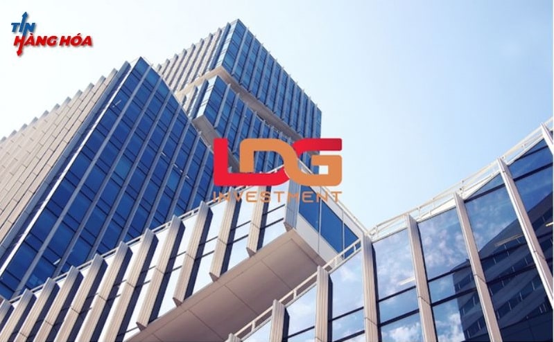 CTCP Đầu tư LDG