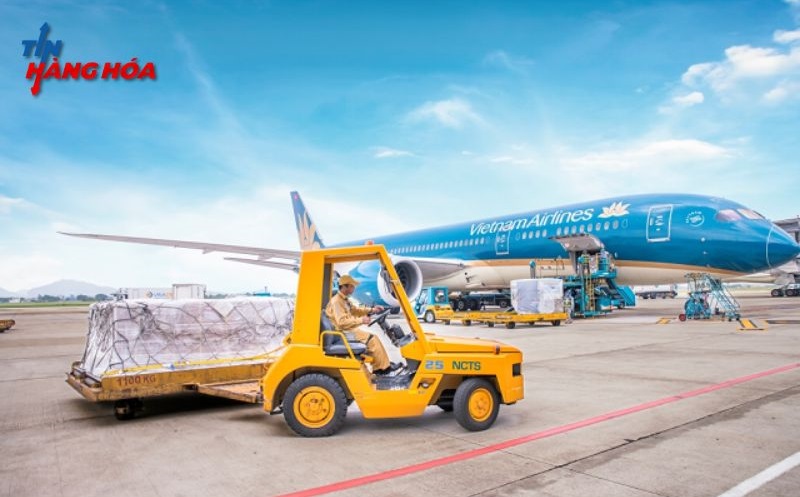 CTCP Dịch vụ H&agrave;ng h&oacute;a Nội B&agrave;i