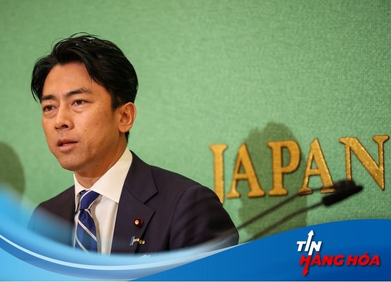Cựu bộ trưởng m&ocirc;i trường Shinjiro Koizumi