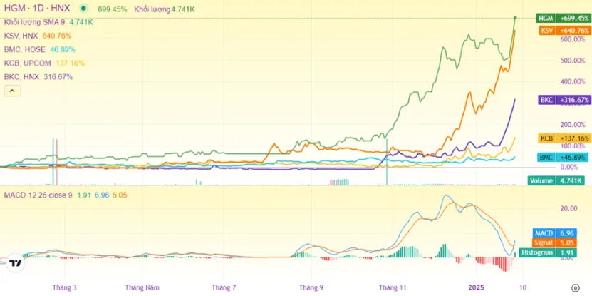 Diễn biến giá một số cổ phiếu khoáng sản từ đầu năm 2024 tới nay