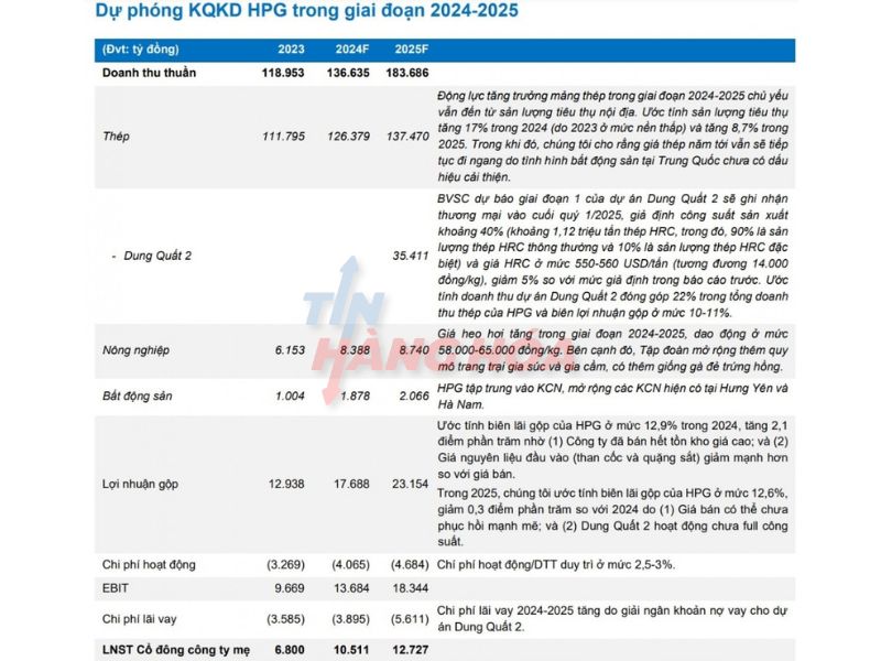 Dự phóng KQKD HPG trong giai đoạn 2024- 2025