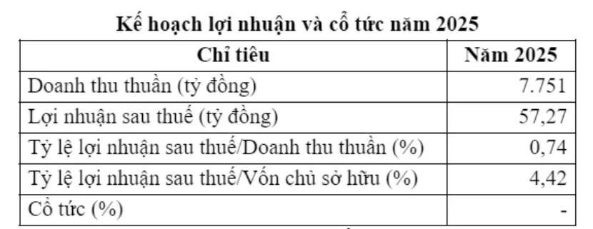 Kế hoạch lợi nhuận v&agrave; cổ tức năm 2025