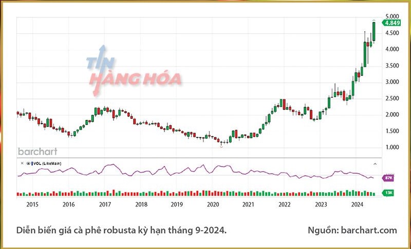 Diễn biến gi&aacute; c&agrave; ph&ecirc; Robusta th&aacute;ng 9-2024