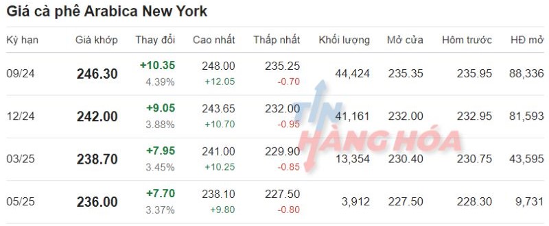 Gi&aacute; c&agrave; ph&ecirc; Arabica ng&agrave;y 08/08/2024