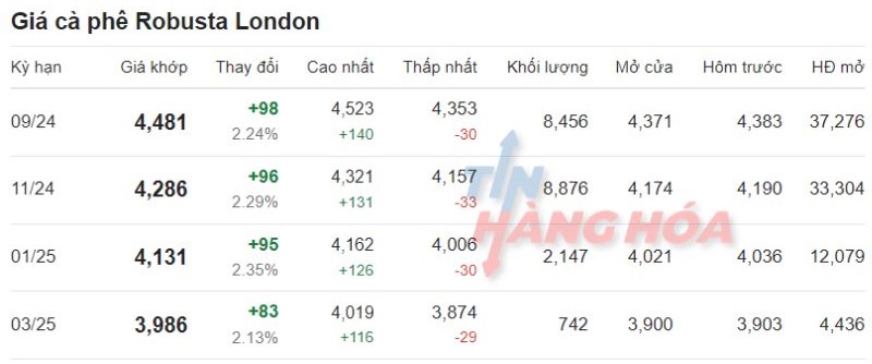 Gi&aacute; c&agrave; ph&ecirc; Robusta ng&agrave;y 08/08/2024