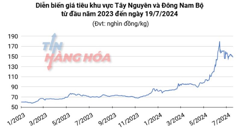 Gi&aacute; hạt ti&ecirc;u trong nước từ đầu năm 2023 đến ng&agrave;y 19/07/2024