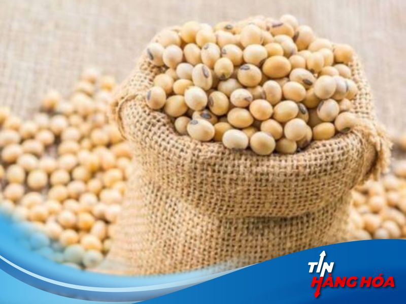 GIá đậu tương hôm nay ngày 6/8/2024