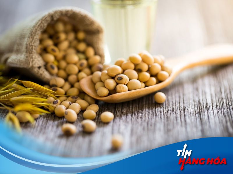 Gi&aacute; đậu tương h&ocirc;m nay ng&agrave;y 15/8