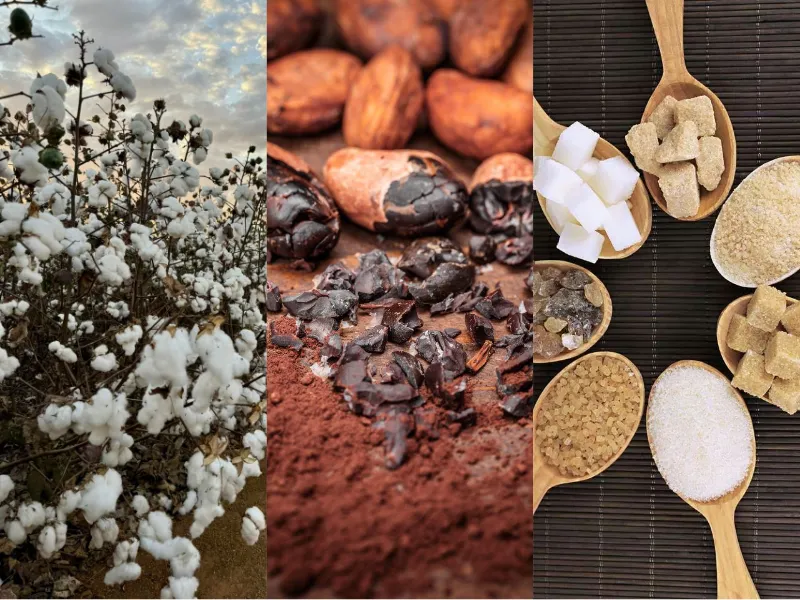 Nguyên liệu công nghiệp 13/04