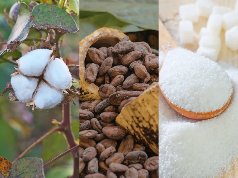 Nguy&ecirc;n liệu c&ocirc;ng nghiệp 14/4