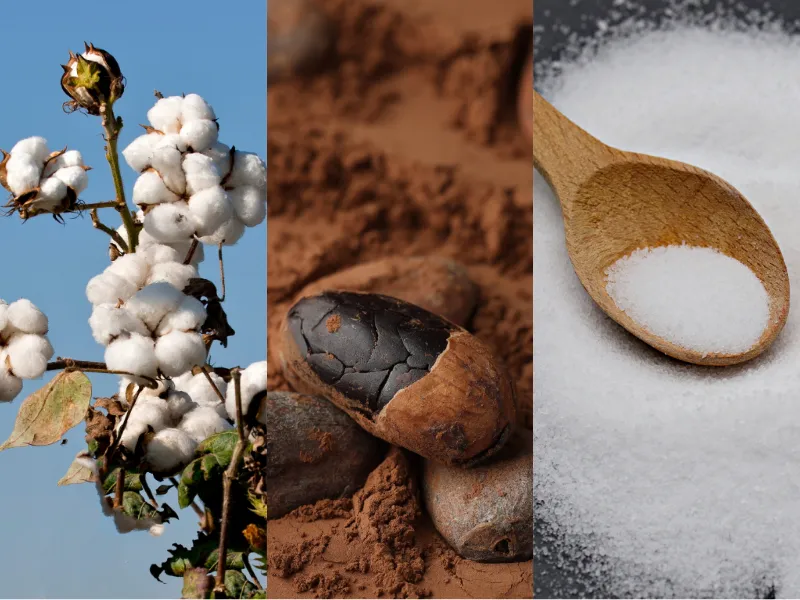 Nguy&ecirc;n liệu c&ocirc;ng nghiệp 16/4