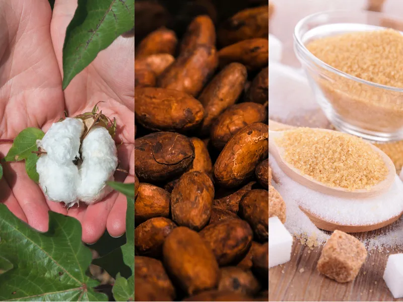 Nguy&ecirc;n liệu c&ocirc;ng nghiệp 20/4