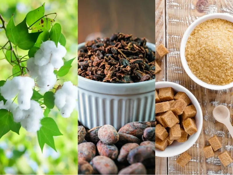 Nguy&ecirc;n liệu c&ocirc;ng nghiệp 22/4