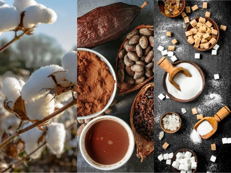 B&ocirc;ng, ca cao, đường 27/4