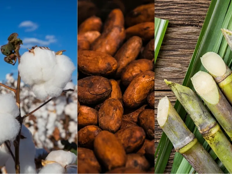 Nguy&ecirc;n liệu 29/4