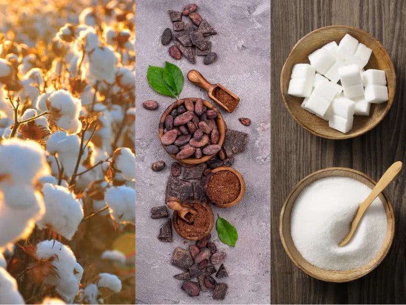 nguy&ecirc;n liệu c&ocirc;ng nghiệp 8/4