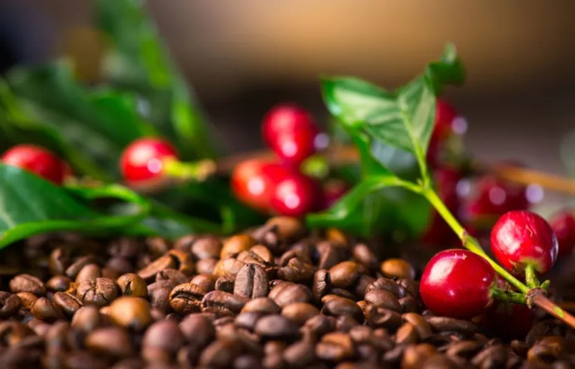 C&agrave; ph&ecirc; thế giới 