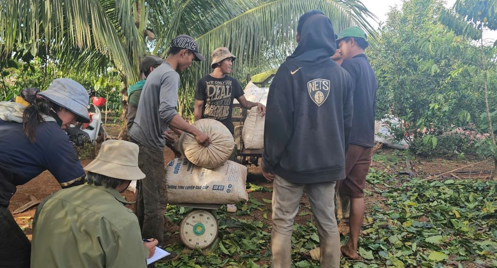 tin tức cà phê