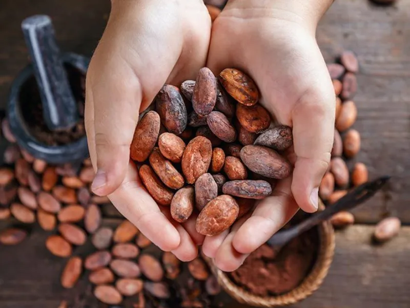 Nguy&ecirc;n liệu c&ocirc;ng nghiệp 7/4: Ca cao