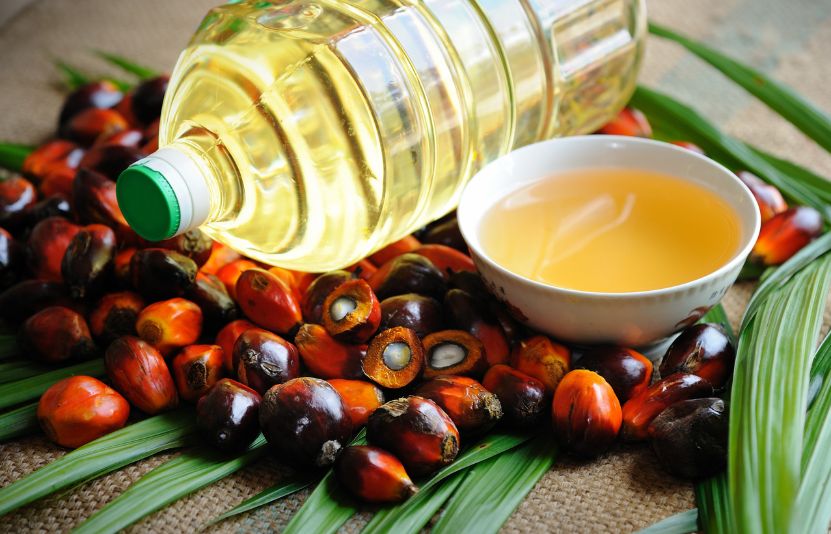 dầu cọ