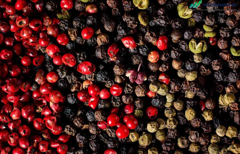 gi&aacute; ti&ecirc;u h&ocirc;m nay