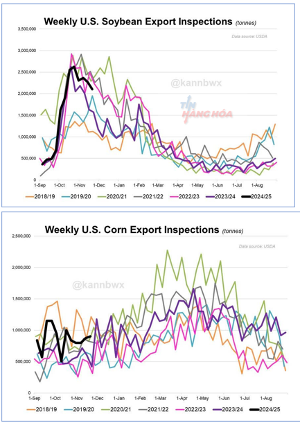 C&aacute;c yếu tố ảnh hưởng 
