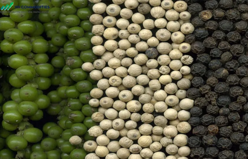 t&igrave;nh h&igrave;nh xuất khẩu hồ ti&ecirc;u tại Việt Nam