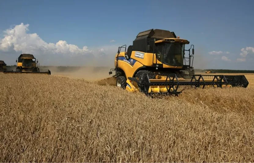 ng&ocirc; đậu tương l&uacute;a m&igrave;