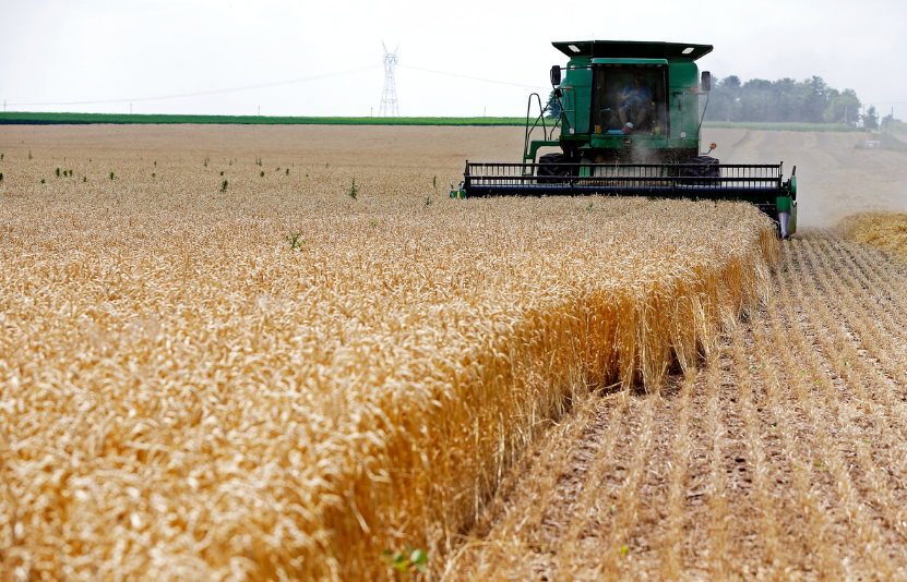 gi&aacute; l&uacute;a m&igrave; 27/11