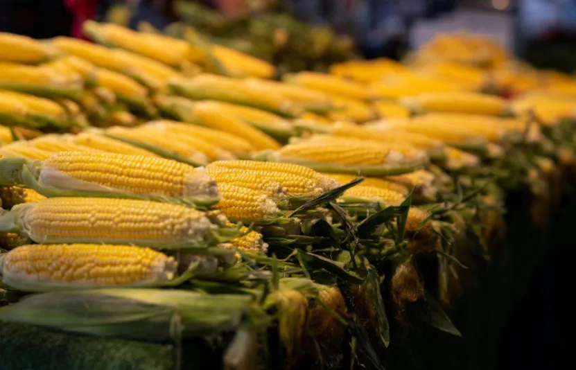 Thị trường ng&ocirc; đậu tương l&uacute;a m&igrave;