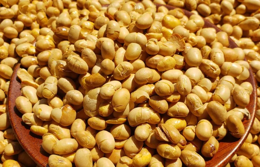 hướng dẫn đầu tư h&agrave;ng h&oacute;a ph&aacute;i sinh đậu tương