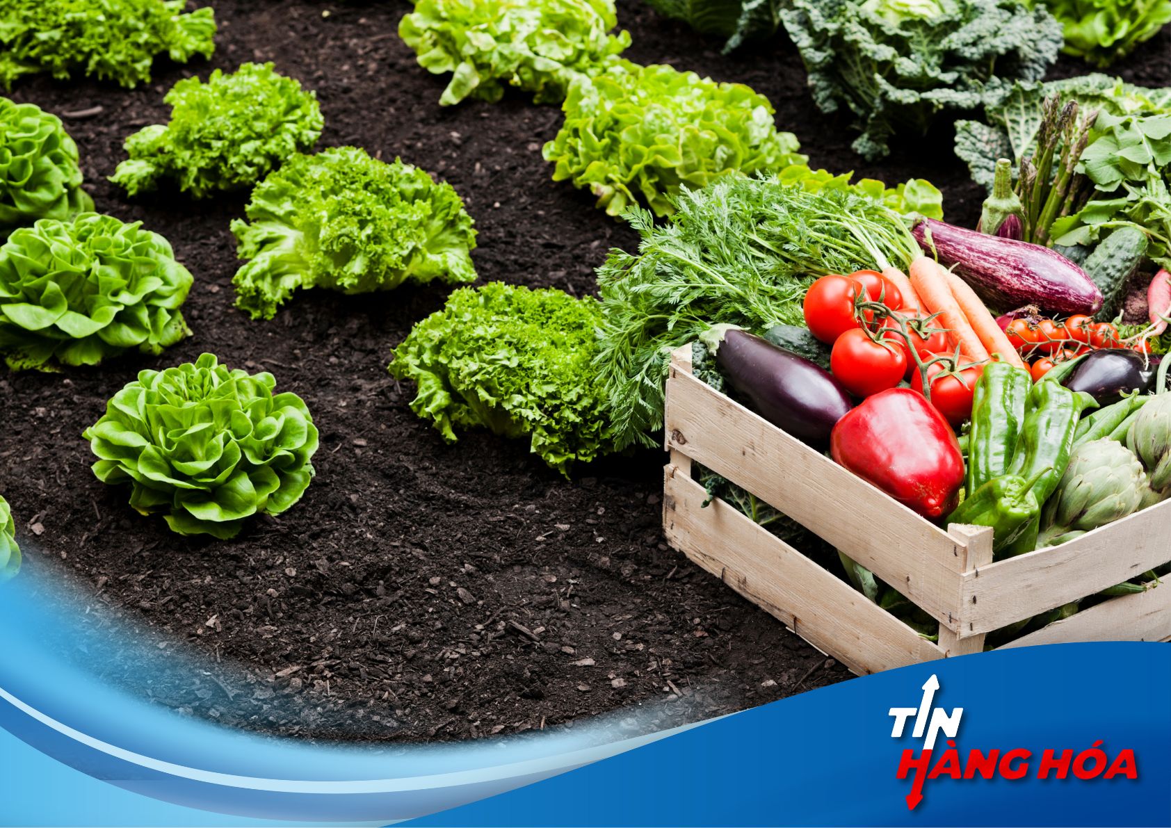 Gi&aacute; n&ocirc;ng sản tại trung quốc tăng vọt do ảnh hưởng bởi thời tiết