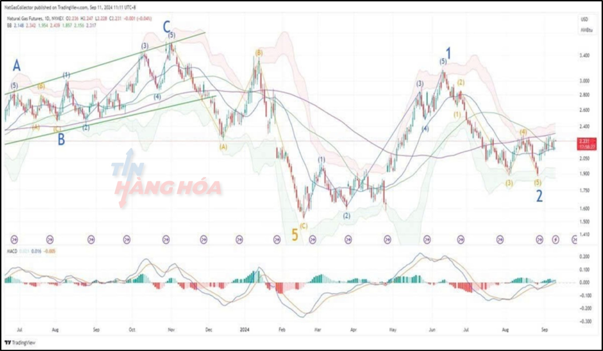 ảnh ph&acirc;n t&iacute;ch