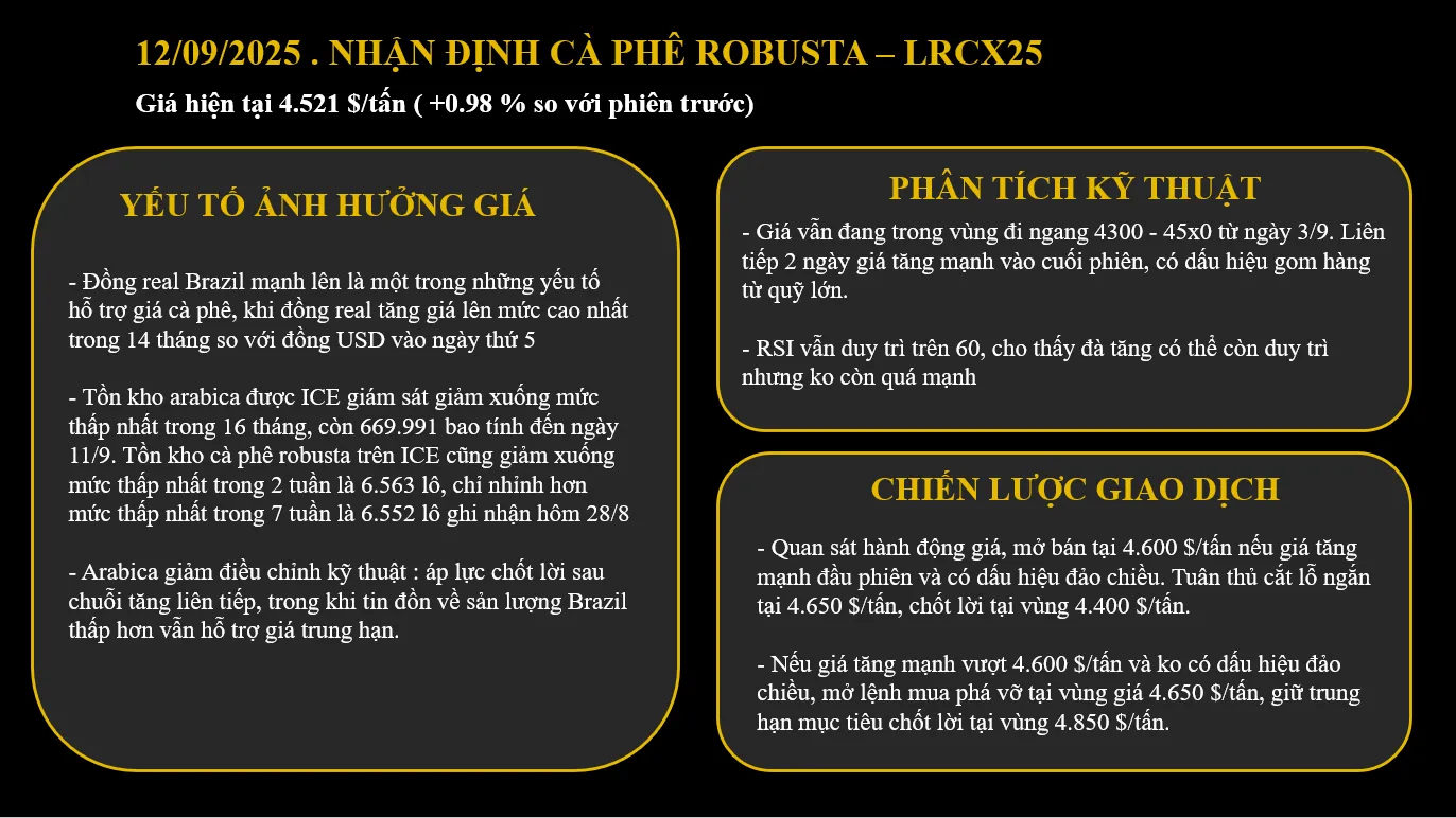 12/09/2025 - ROBUSTA DUY TRÌ TĂNG NHẸ TRONG KHI ARABICA CHỈNH GIẢM