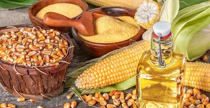 Nông sản 20/2: Lúa mì theo dõi hạn hán, đậu tương tăng diện tích, ngô giảm gieo trồng