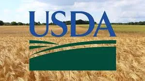 Hiểu rõ các báo cáo quan trọng của USDA về thị trường nông sản
