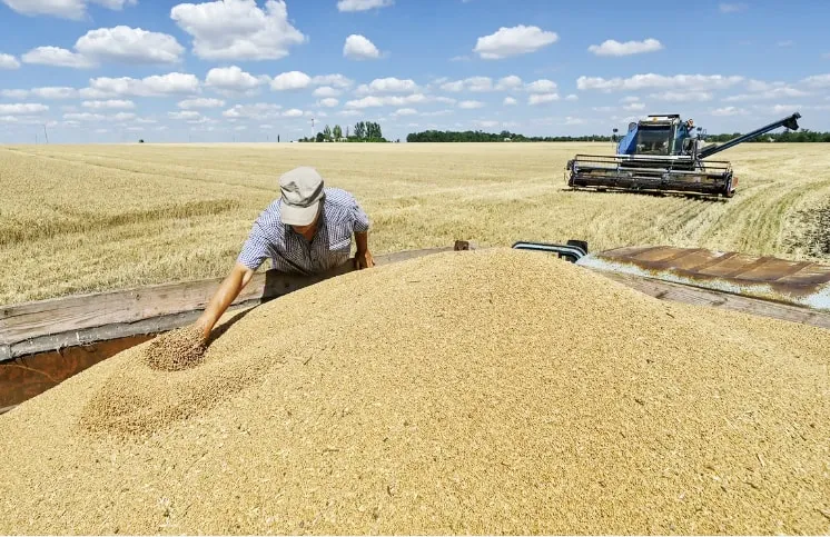 Thị trường nông sản 22/04: Cung cầu biến động mạnh trước áp lực thời tiết và địa chính trị