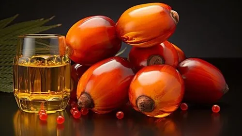 Giá dầu cọ hướng tới tuần tăng giá thứ hai liên tiếp