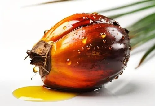 Giá dầu cọ 04/03: Ringgit yếu và dầu đối thủ cùng đẩy giá đi lên