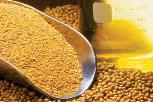 TÍN HIỆU GIAO DỊCH KHÔ ĐẬU TƯƠNG - ZMEZ25