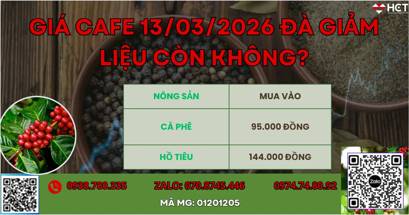  GIÁ CAFE 13/03/2026 ĐÀ GIẢM CÒN KHÔNG?