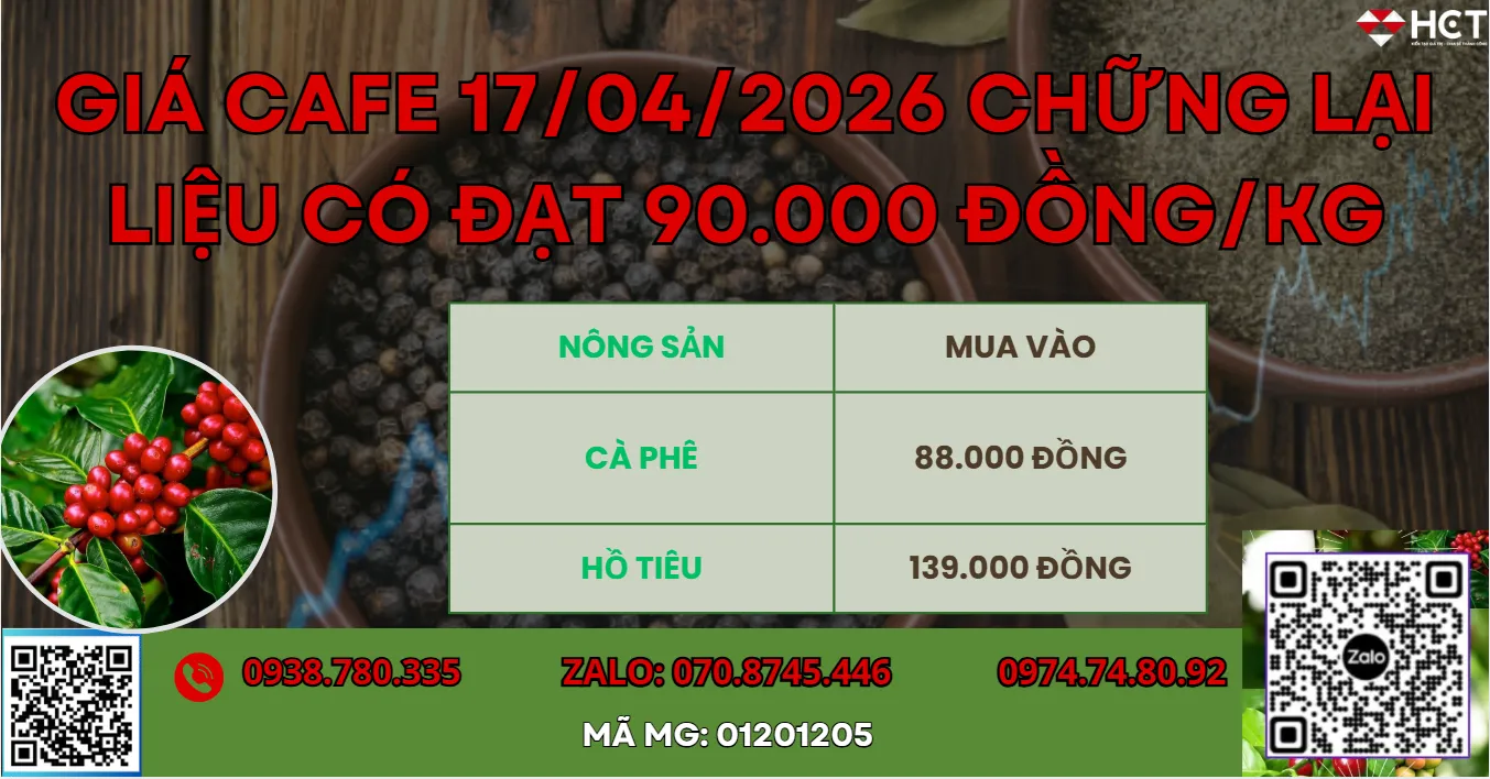 CHIẾN LƯỢC CAFE HỢP LÝ LẠI THU VỀ LỢI NHUẬN TỐT.