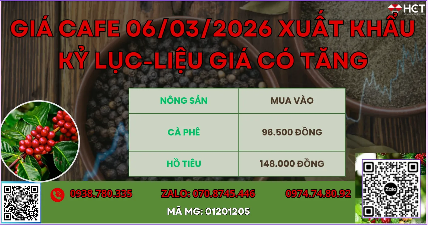 TỪ XUẤT KHẨU KỶ LỤC ĐẾN CHIẾN SỰ TRUNG ĐÔNG: LIỆU GIÁ CÀ PHÊ CÓ PHÁ ĐỈNH?