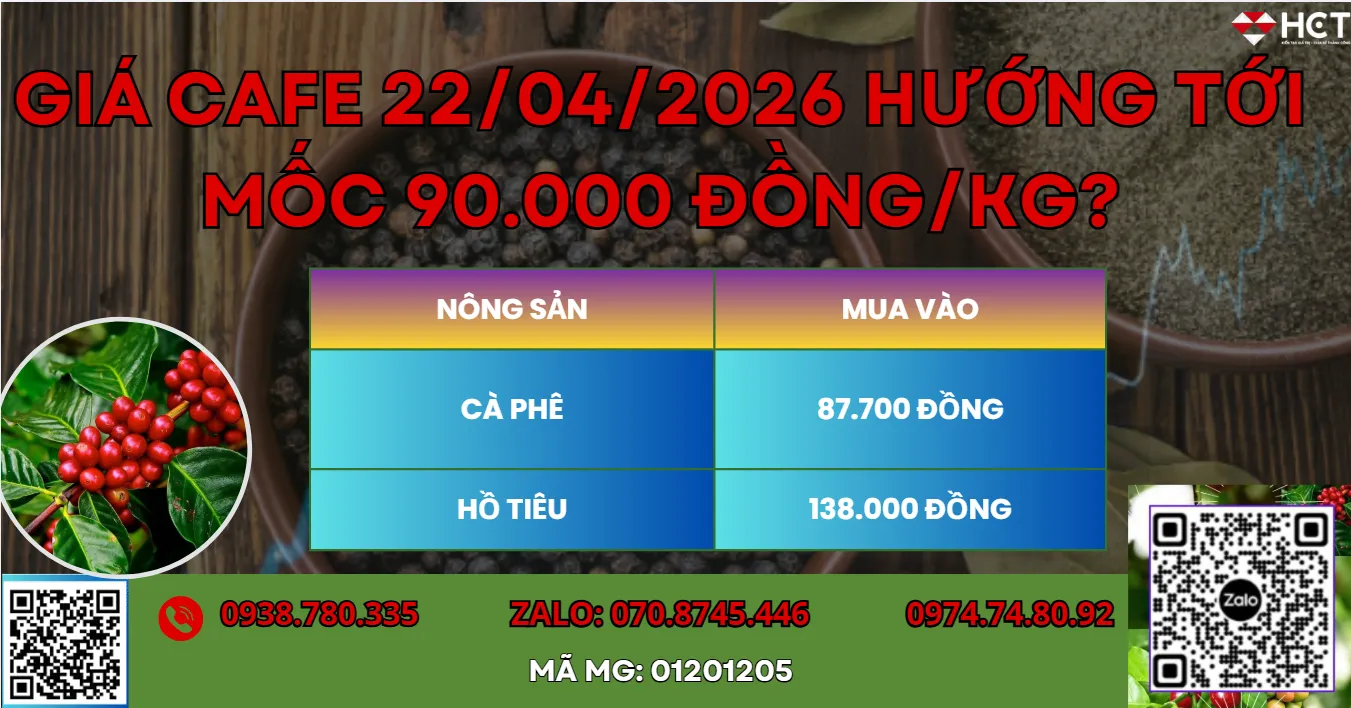 GIÁ CAFE 22/04/2026: HƯỚNG TỚI MỐC 90,000 ĐỒNG/KG?