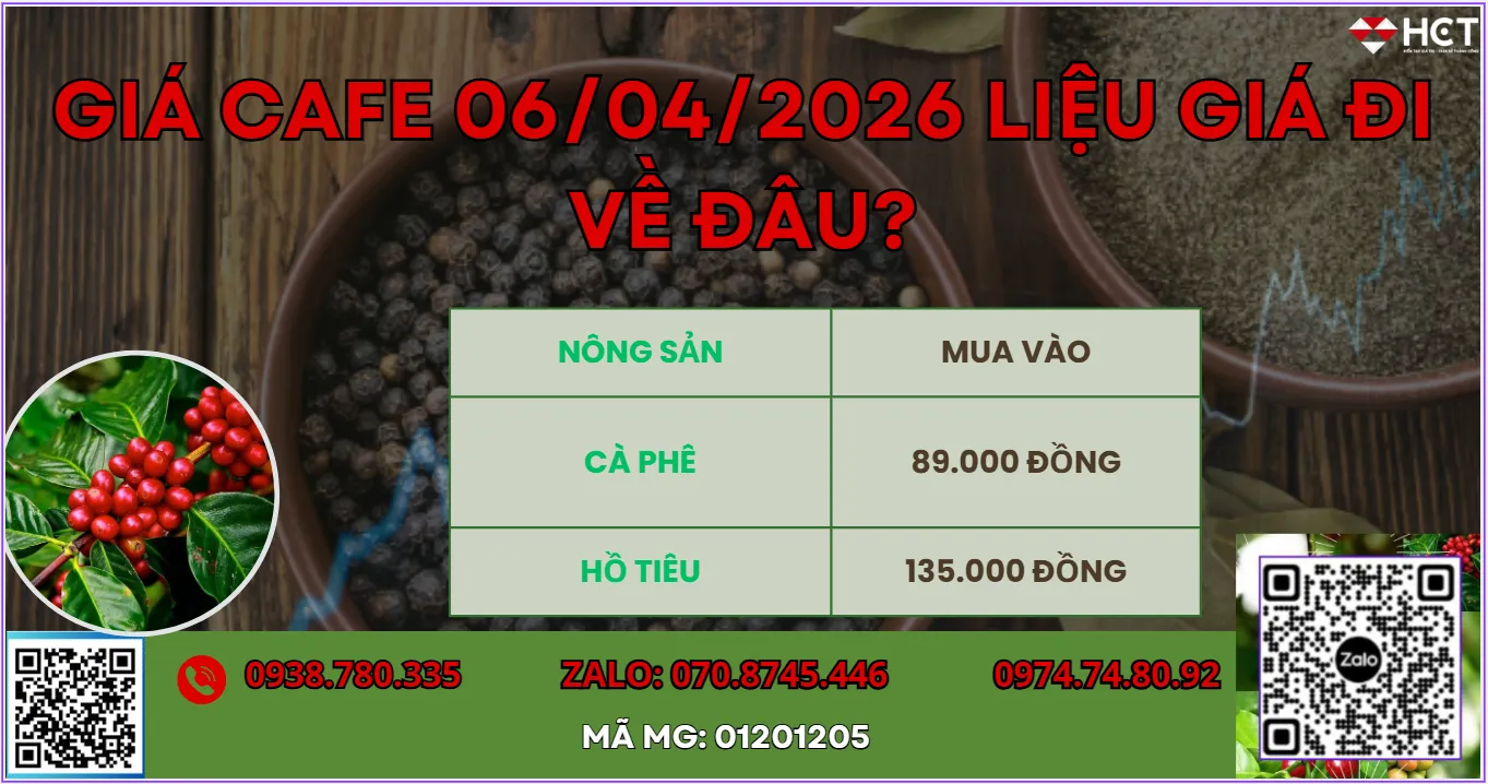 GIÁ CAFE 06/04/2026: LIỆU GIÁ CÀ PHÊ SẼ ĐI VỀ ĐÂU?