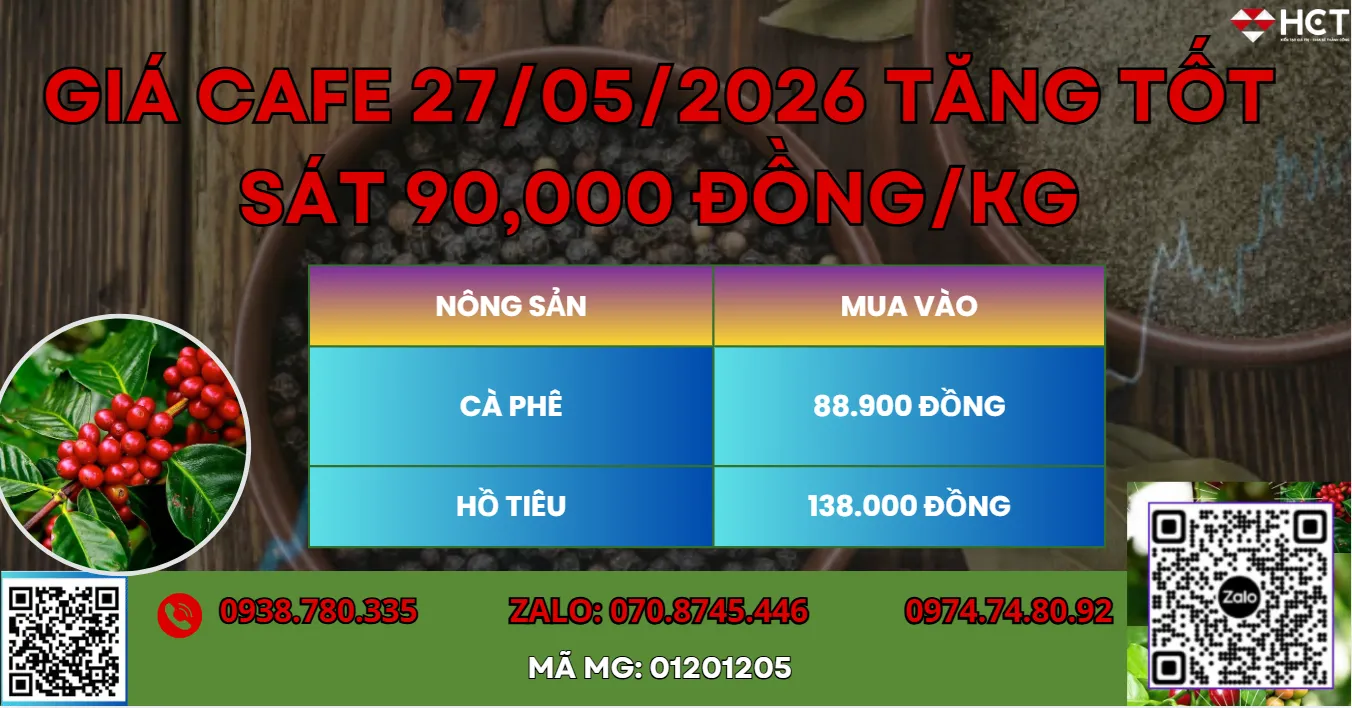 GIÁ CAFE 27/05/2026 TĂNG TỐT CHINH PHỤC LẠI MỐC 90,000 ĐỒNG/KG.