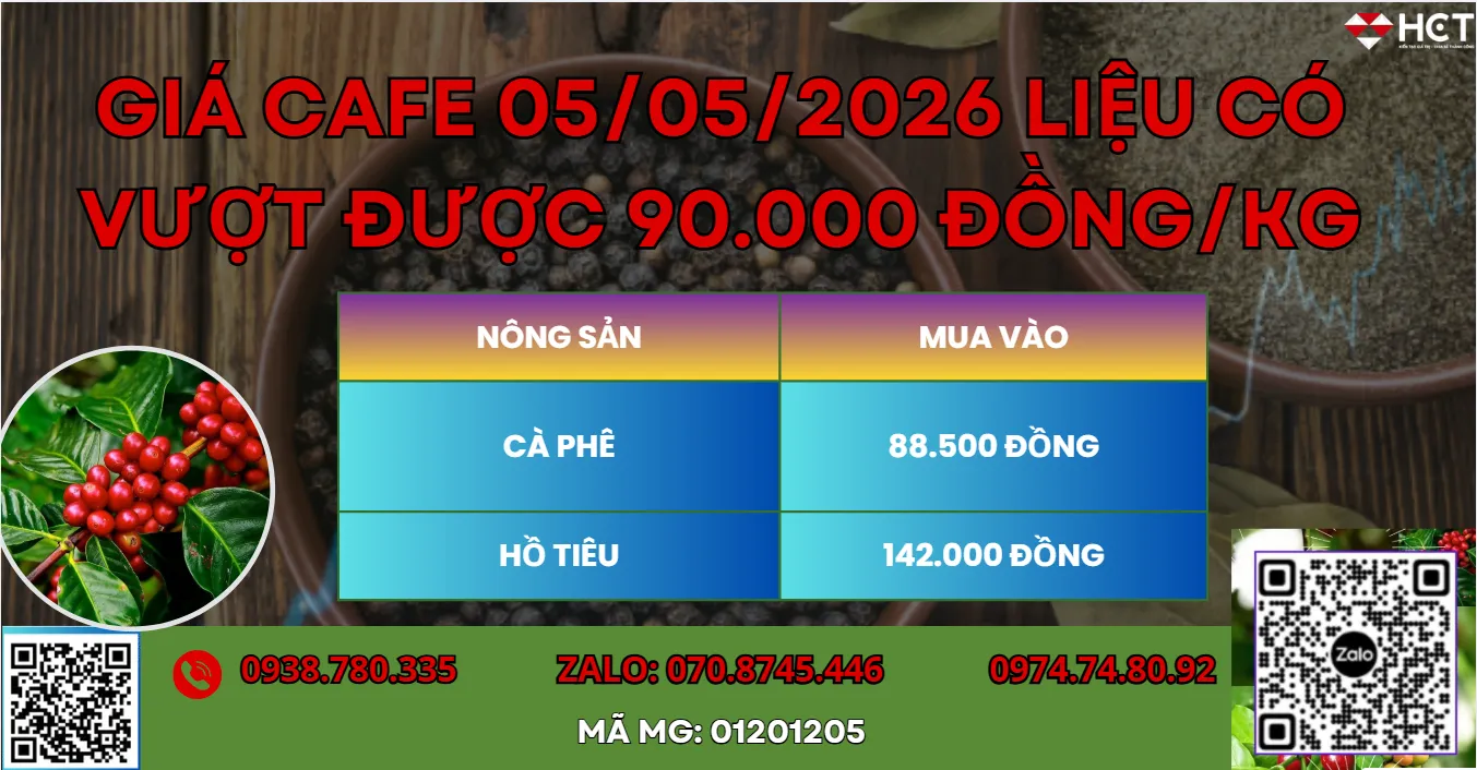  GIÁ CAFE 05/05/2026 LIỆU CÓ VƯỢT ĐƯỢC MỐC 90,000 ĐỒNG/KG?