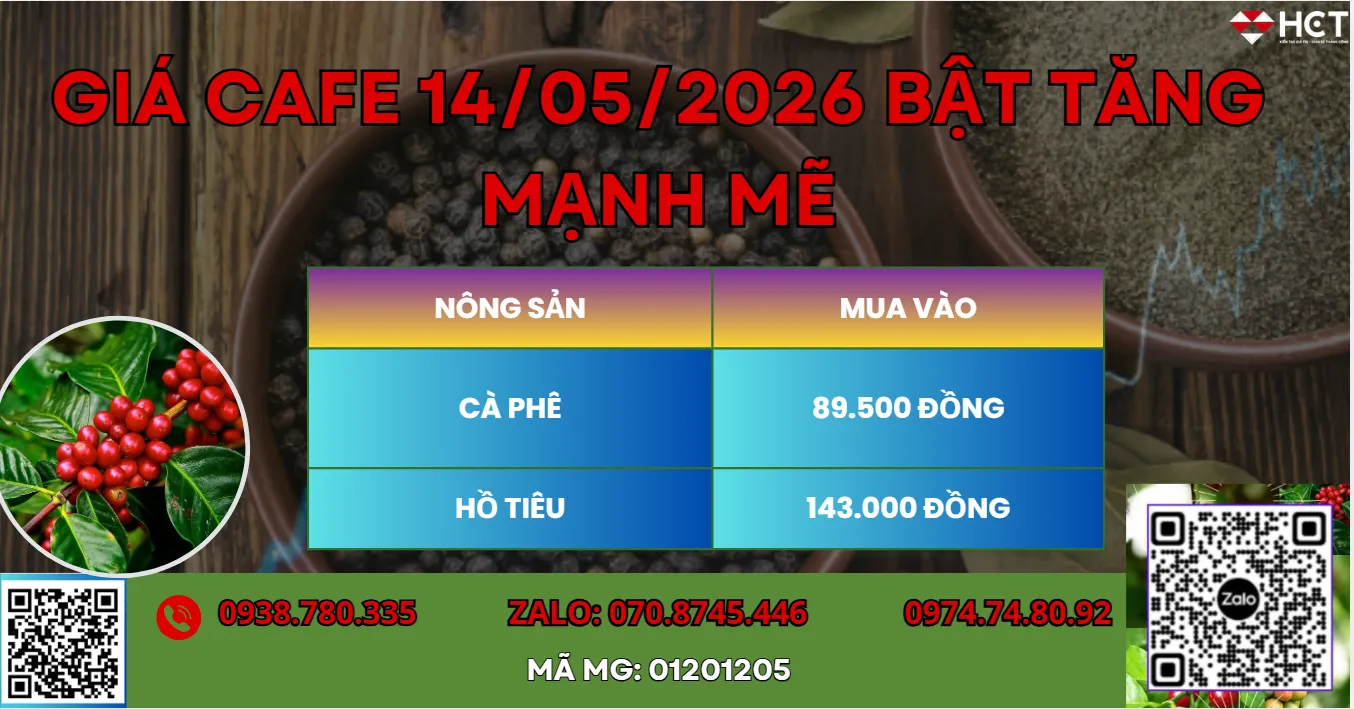 GIÁ CAFE 14/05/2026 BẬT TĂNG MẠNH MẼ LIỆU VƯỢT 90,000 ĐỒNG/KG.